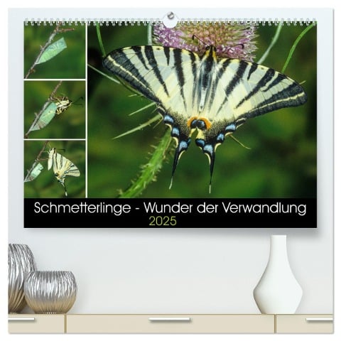 Schmetterlinge - Wunder der Verwandlung (hochwertiger Premium Wandkalender 2025 DIN A2 quer), Kunstdruck in Hochglanz - Wilhelm Eisenreich