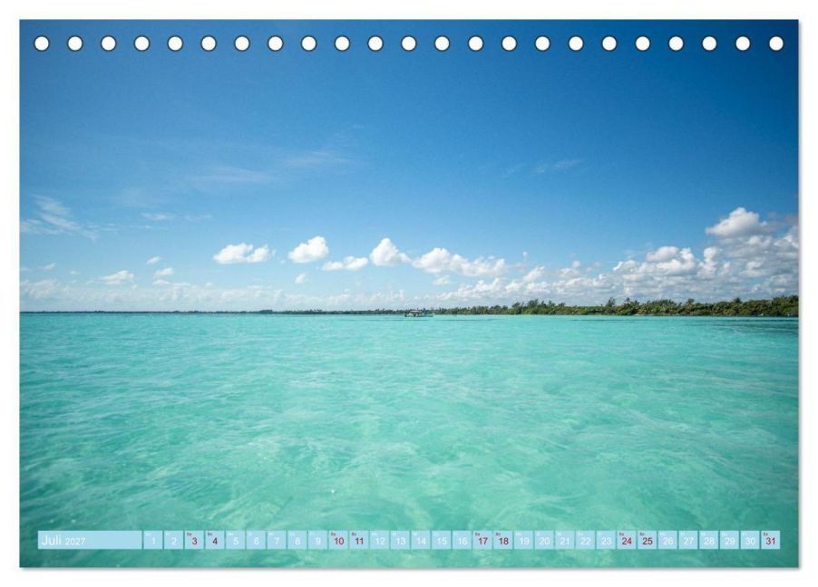 InsideView 12