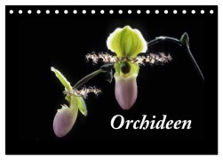 Cover-Bild zum Titel 'Orchideen 2026 (Tischkalender 2026 DIN A5 quer), CALVENDO Monatskalender' von 'Kleber(C)Gagelart Kleber(C)Gagelart'