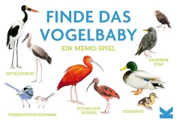 Cover-Bild zum Titel 'Finde das Vogelbaby' von ''