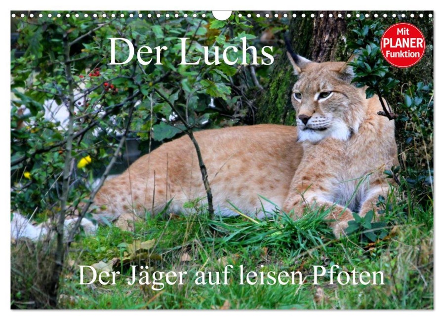 Der Luchs - Der Jäger auf leisen Pfoten (Wandkalender 2026 DIN A3 quer), CALVENDO Monatskalender - Arno Klatt