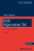 Cover-Bild zum Titel 'BGB Allgemeiner Teil' von 'Peter Gröschler'