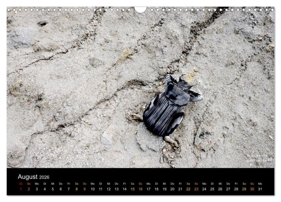 InsideView 13