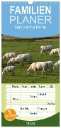 Familienplaner 2024 - Glückliche Kühe mit 5 Spalten (Wandkalender, 21 x 45 cm) CALVENDO - Antje Lindert-Rottke