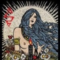 Cover-Bild zum Titel 'Survive Sunrise' von 'Asg'