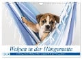 Welpen in der Hängematte (Wandkalender 2024 DIN A4 quer), CALVENDO Monatskalender - Fotodesign Verena Scholze