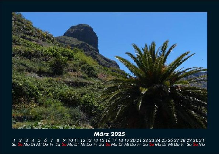 InsideView 7
