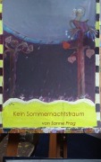 Cover-Bild zum Titel 'Kein Sommernachtstraum' von 'Sanne Prag'
