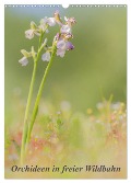 Orchideen in freier Wildbahn (Wandkalender 2024 DIN A3 hoch), CALVENDO Monatskalender - Peter Danis
