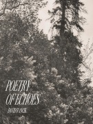 Cover-Bild zum Titel 'Poetry of Echoes' von 'David Ivancik'