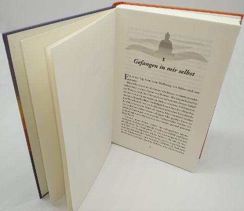InsideView 5
