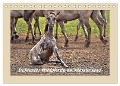 Dülmener Wildpferde im Münsterland (Tischkalender 2025 DIN A5 quer), CALVENDO Monatskalender - Bettina Hackstein