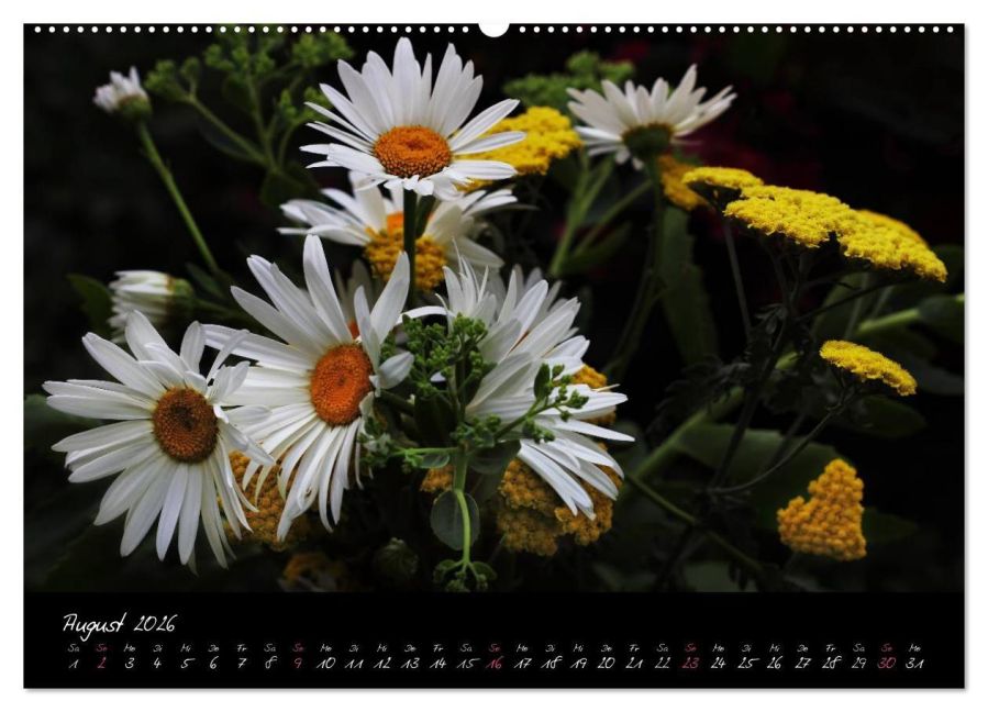 InsideView 12