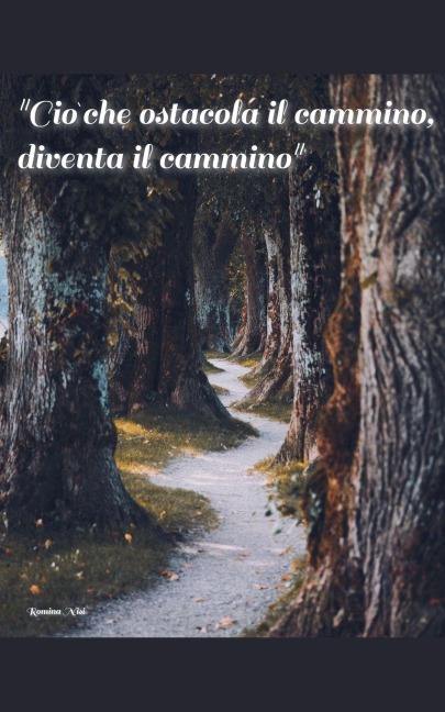 "Ciò che ostacola il cammino, diventa il cammino" - Romina Nisi