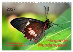 Cover-Bild zum Titel 'Fliegende Wunderwesen. Schmetterlinge weltweit, ganz nah (Wandkalender 2027 DIN A3 quer), CALVENDO Monatskalender' von 'Thomas Zeidler'