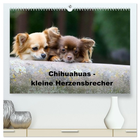 Chihuahuas - kleine Herzensbrecher (hochwertiger Premium Wandkalender 2025 DIN A2 quer), Kunstdruck in Hochglanz - Verena Scholze