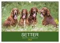 Setter - Geliebter Freund und Jagdkamerad (Wandkalender 2025 DIN A3 quer), CALVENDO Monatskalender - Andrea Mayer Tierfotografie