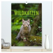 Cover-Bild zum Titel 'Wildkatzen - Kleine Samtpfoten des Waldes (hochwertiger Premium Wandkalender 2026 DIN A2 hoch), Kunstdruck in Hochglanz' von 'Christina Krutz'