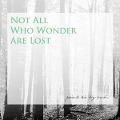 Not All Who Wonder Are Lost - Paint the Sky Red