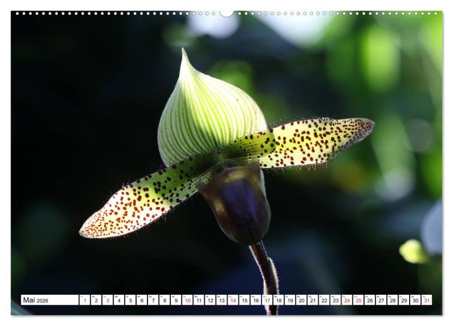 InsideView 10