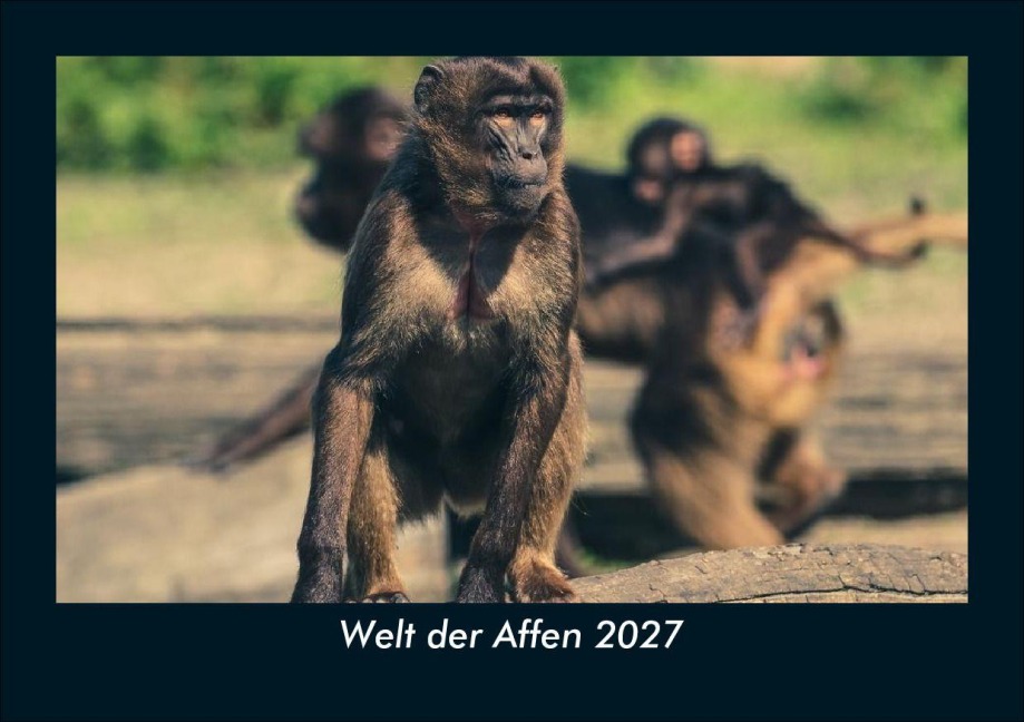 Welt der Affen 2027 Fotokalender DIN A5 - Tobias Schmitt, Kevin Heber