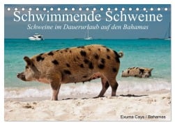 Cover-Bild zum Titel 'Schwimmende Schweine (Tischkalender 2026 DIN A5 quer), CALVENDO Monatskalender' von 'Elisabeth Stanzer'