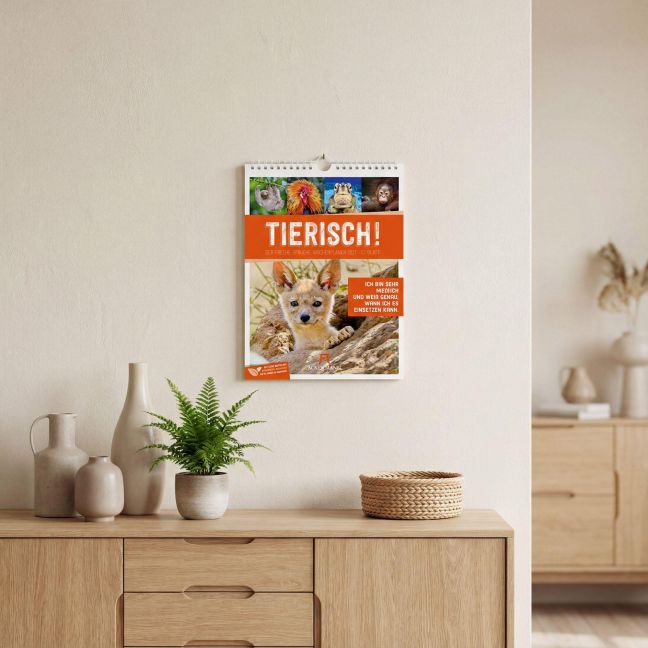 InsideView 58