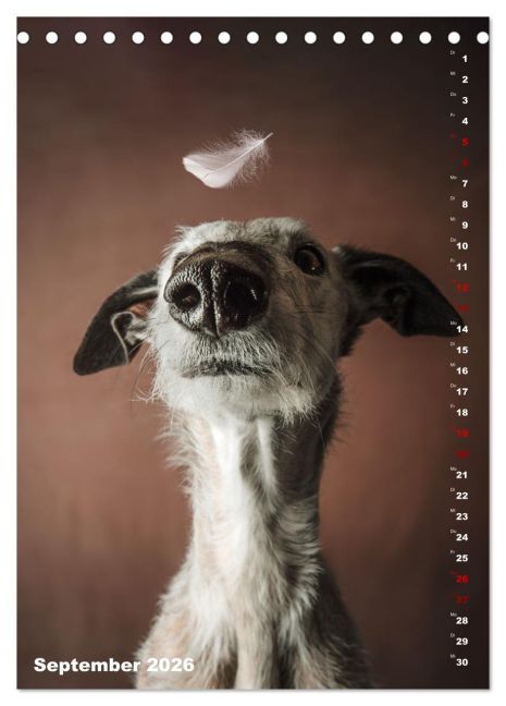 InsideView 14