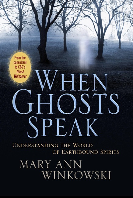 When Ghosts Speak - Mary Ann Winkowski