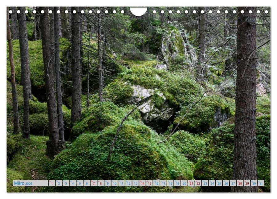 InsideView 8