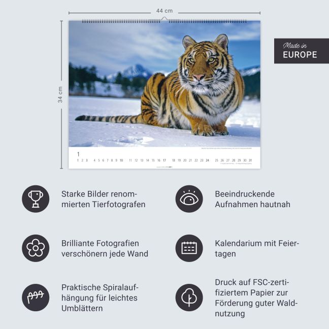InsideView 13