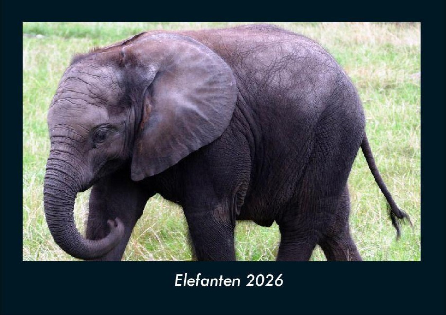 Elefanten 2026 Fotokalender DIN A4 - Tobias Becker