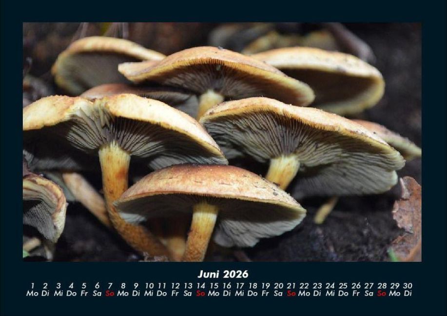 InsideView 10