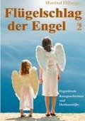 Flügelschlag der Engel - Band 2 - Manfred Hilberger