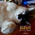 Cover-Bild zum Titel 'BUDDY' von 'Olaf Krätke'