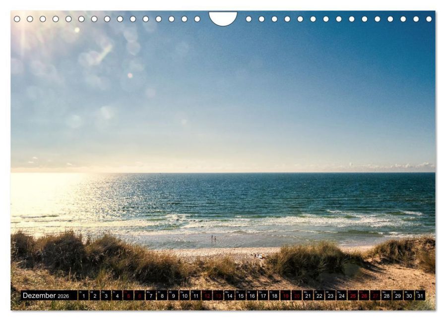 InsideView 4