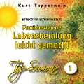 Cover-Bild zum Titel 'Effektiver Schnellkursus: Praxisbezogene Lebensberatung leicht gemacht (Top-Seminar - Teil 1)' von ''