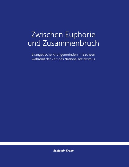 Zwischen Euphorie und Zusammenbruch - Benjamin Krohn
