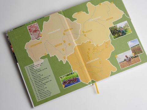 InsideView 12