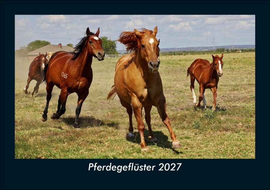 Pferdegeflüster 2027 Fotokalender DIN A5 - Tobias Schmitt, Kevin Heber