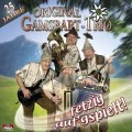 Cover-Bild zum Titel '25 Jahre Fetzig Auf Gspielt!' von 'Original Gamsbart Trio'