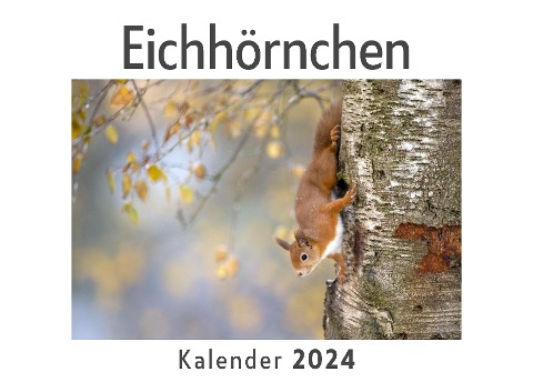 Eichhörnchen (Wandkalender 2024, Kalender DIN A4 quer, Monatskalender im Querformat mit Kalendarium, Das perfekte Geschenk) - Anna Müller