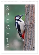 Cover-Bild zum Titel 'Spechte (Wandkalender 2026 DIN A2 hoch), CALVENDO Monatskalender' von 'Gerald Wolf'