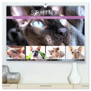 Sphinx. Grazile und anmutige Nacktkatzen (hochwertiger Premium Wandkalender 2026 DIN A2 quer), Kunstdruck in Hochglanz - Rose Hurley