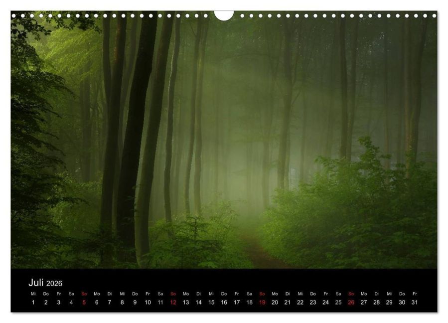 InsideView 12