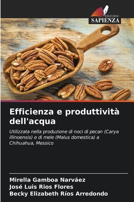 Efficienza e produttività dell'acqua - Mirella Gamboa Narváez, José Luis Ríos Flores, Becky Elizabeth Ríos Arredondo