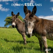 Cover-Bild zum Titel 'Esel / Donkeys 2027' von ''