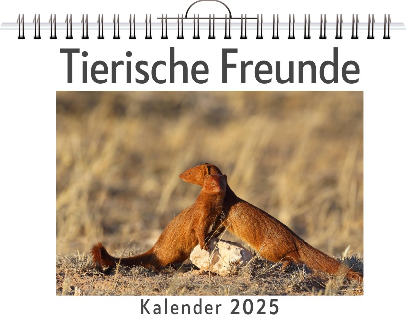 Tierische Freunde - Tim Lang