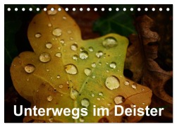 Cover-Bild zum Titel 'Unterwegs im Deister (Tischkalender 2026 DIN A5 quer), CALVENDO Monatskalender' von 'Simon Witt'