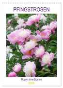 Cover-Bild zum Titel 'Pfingstrosen Rosen ohne Dornen (Wandkalender 2026 DIN A3 hoch), CALVENDO Monatskalender' von 'Gisela Kruse'